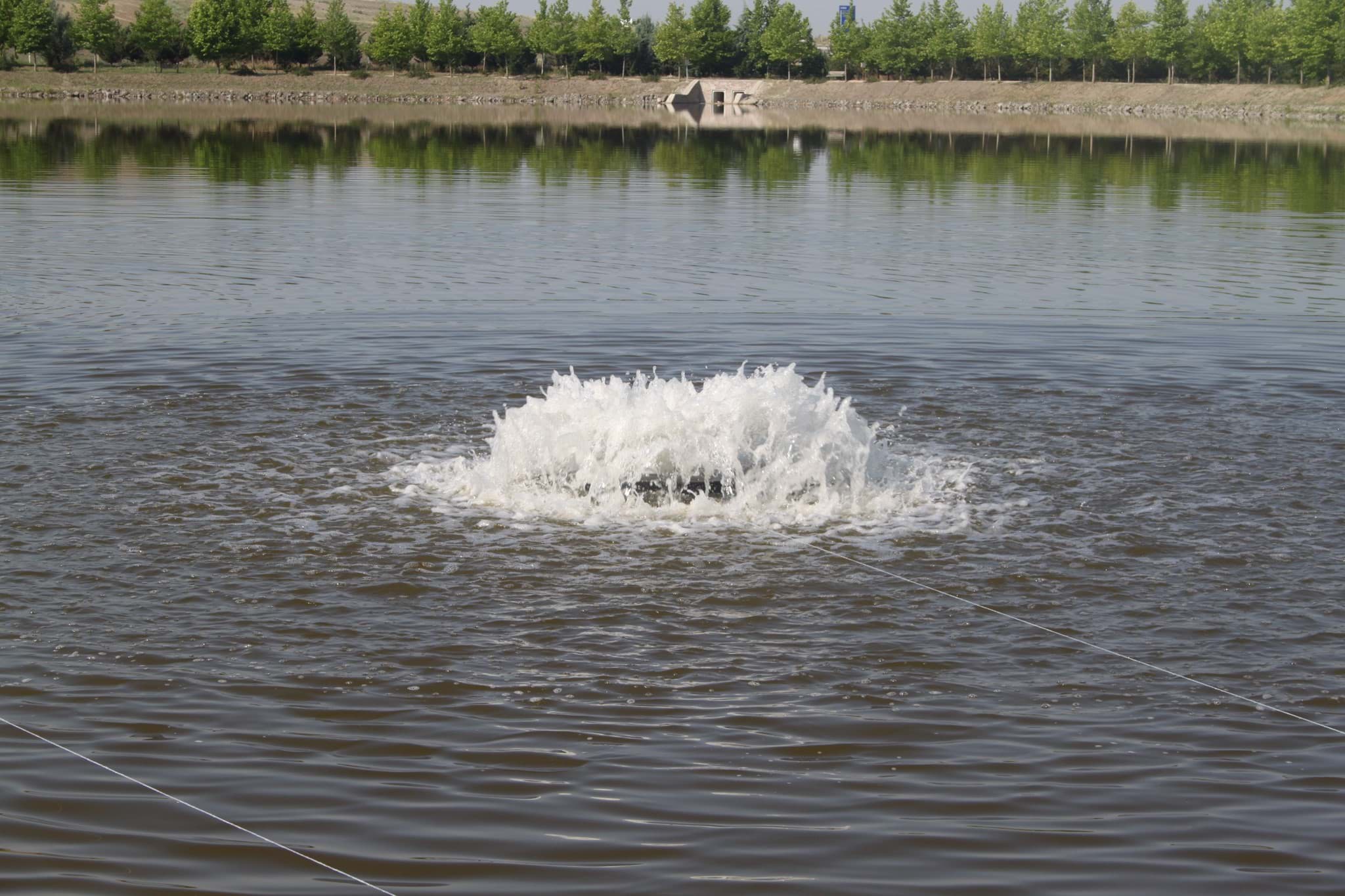 HF/010-FOAMY RIPPLE resmi