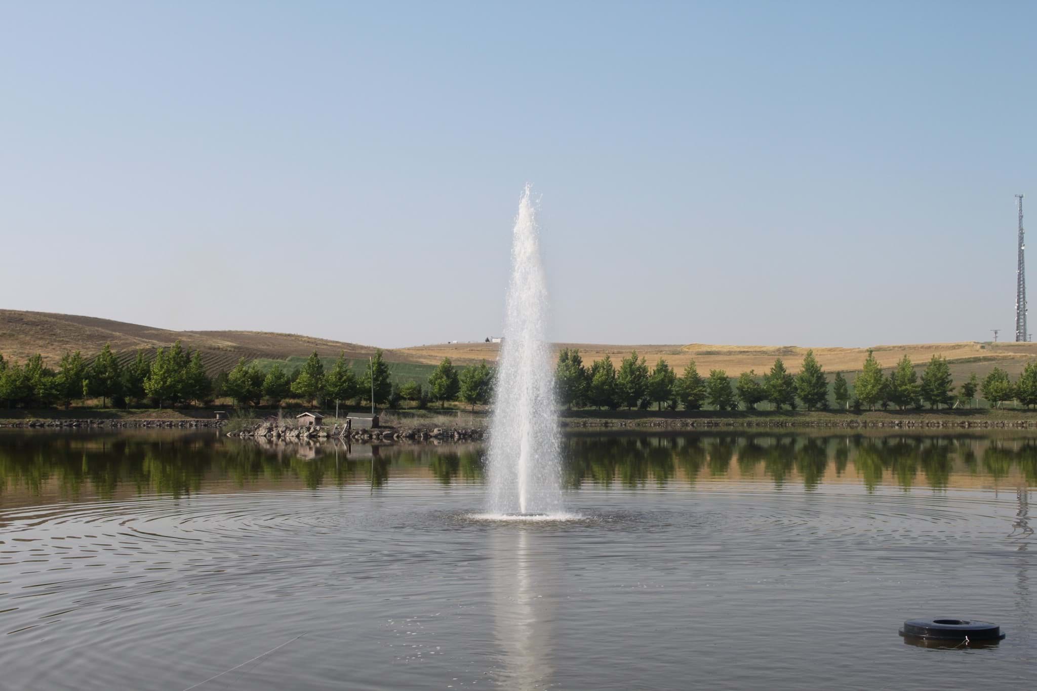 HF/020-FOAMY SKYSCRAPPER resmi