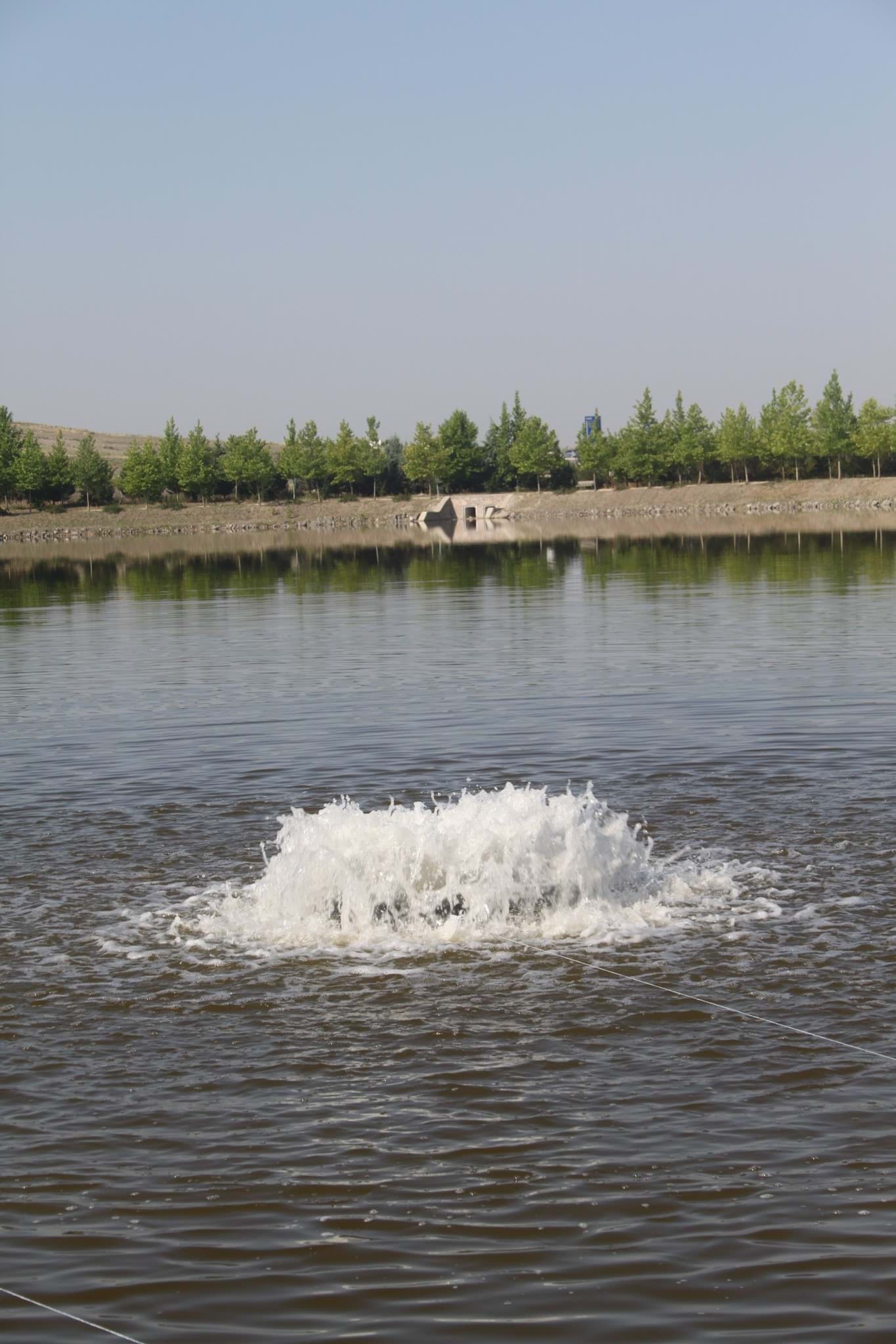 HF/010-FOAMY RIPPLE resmi