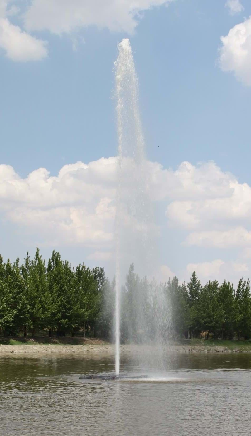 YHF/060-POPULUS resmi